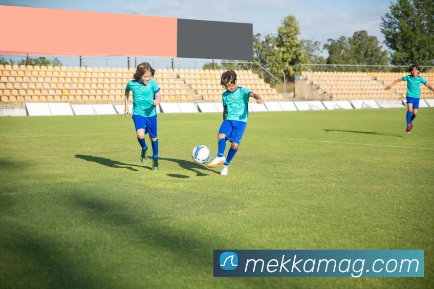 ag官网平台生态图